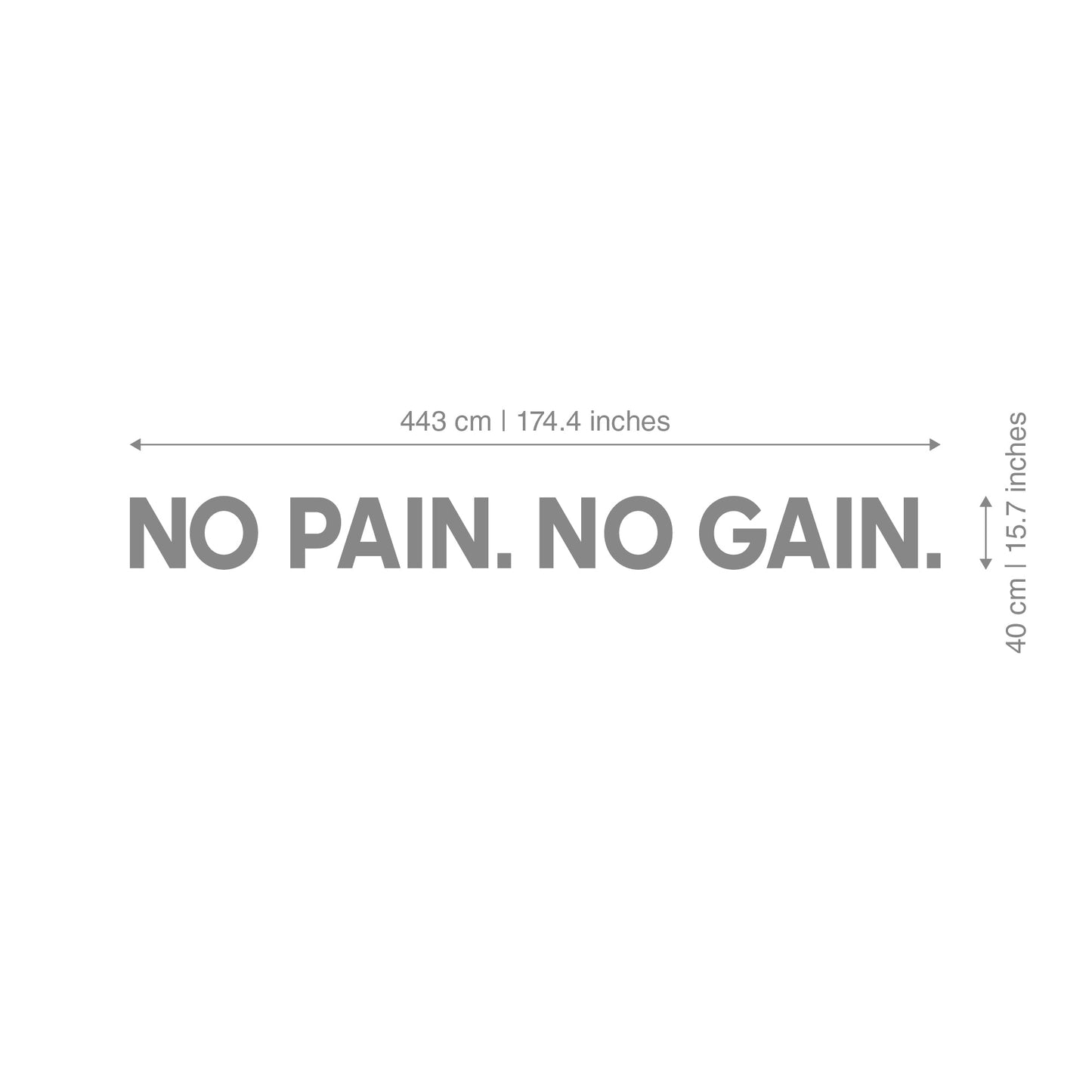 No Pain No Gain 3D Gym Wall Decor